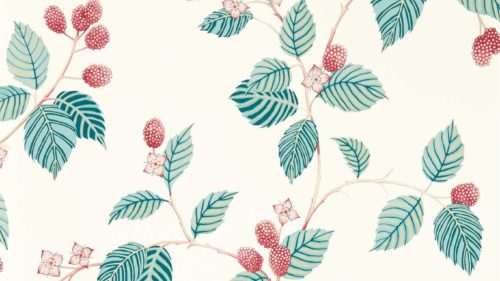 Rubus 217228